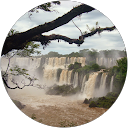 Yuly Quintero profile picture